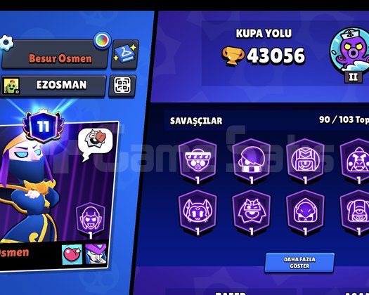 260 SKİN 43K KUPA