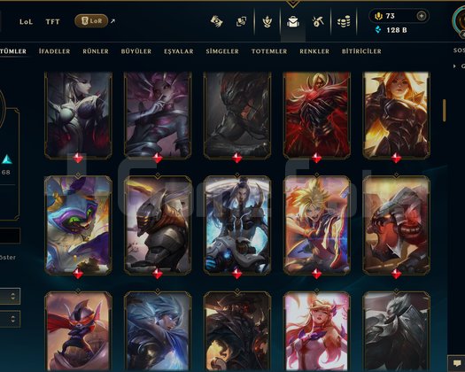 TR | 142 SKİN | UNRANKED