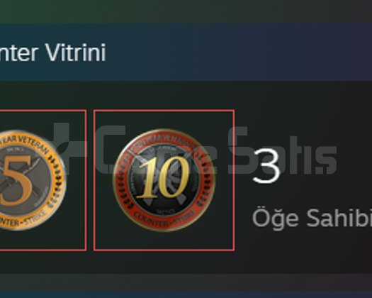 10+5 YIL MADALYALI REKO HAZIR HESAP