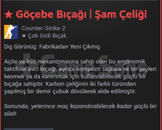 DOLU STEAM HESABI ACİLLLL