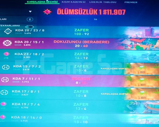 İlk sahibinden immo 1 bol skinli temiz hesap
