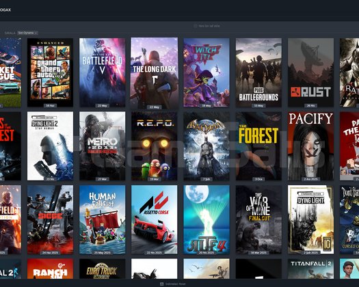 BOL OYUNLU STEAM HESABI