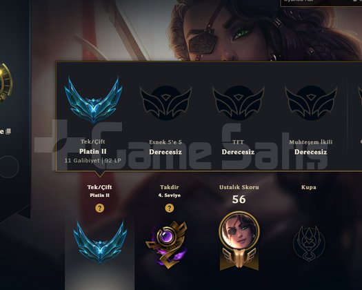 TR 85 WR PLAT 2 HESAP HANDMADE