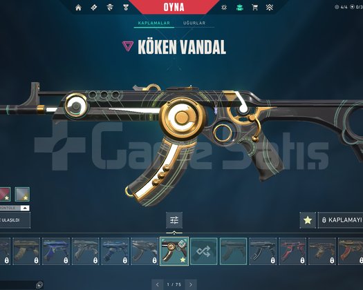 TR | Origin Vandal | Rogue Vandal