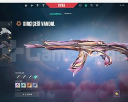 sırçiçeği setli 8k yatırılmış 8 vandal video izle