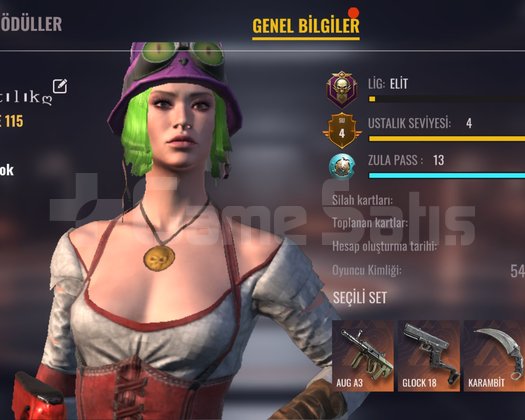 115 SEVİYE ZULA MOBİLE HESABI