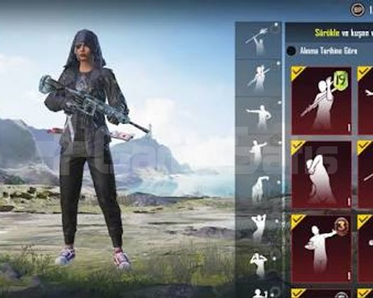 Pubg Hesap