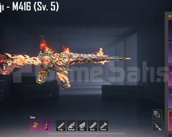 TEK BAĞ !! M4 5 SEVİYE !! S4 YÜZ !!