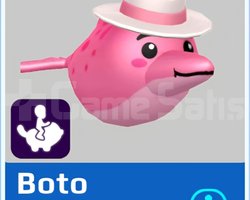 PKXD PET BOTO