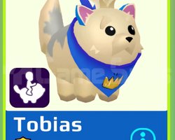 PKXD PET TOBİAS