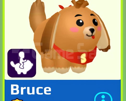 PKXD PET BRUCE