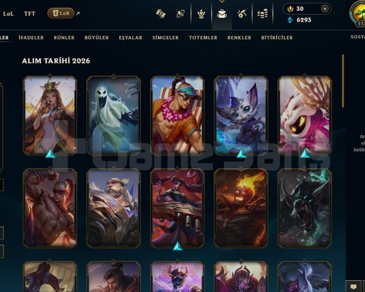 DİA 2 MASTER GÖRMÜŞ 39 SKIN