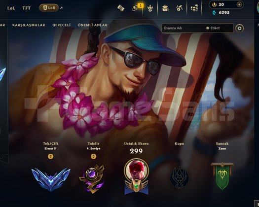 DİA 2 MASTER GÖRMÜŞ 39 SKIN