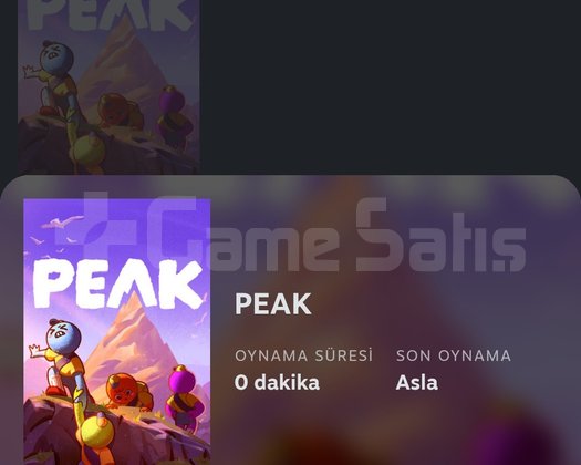 PEAK Steam Paylaşımlı Hesap | Full Erişim | Uyg