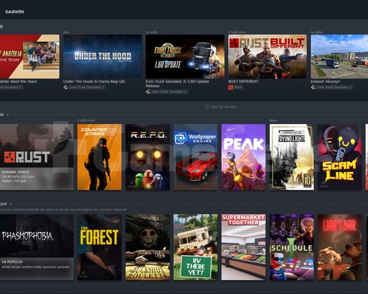 ANA STEAM HESABIM SATILIKTIR