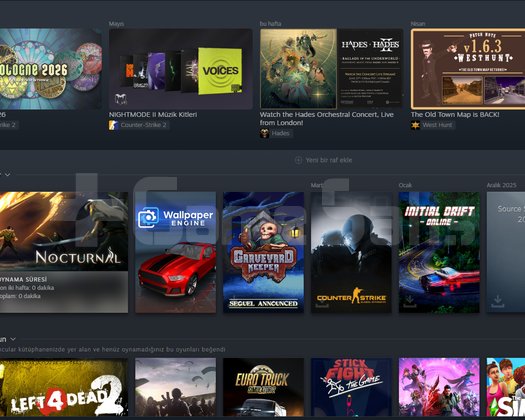463 Dolar değerinde Steam Hesabı