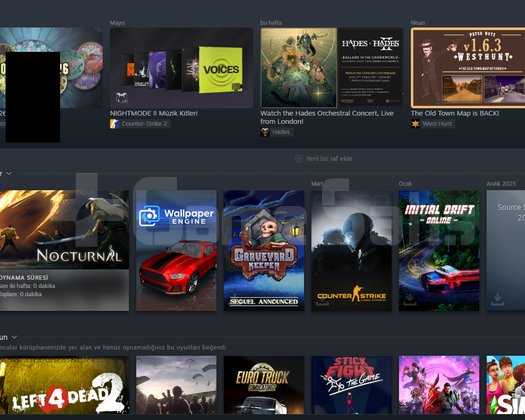 463 Dolar değerinde Steam Hesabı