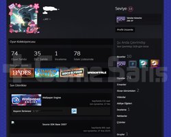 463 Dolar değerinde Steam Hesabı