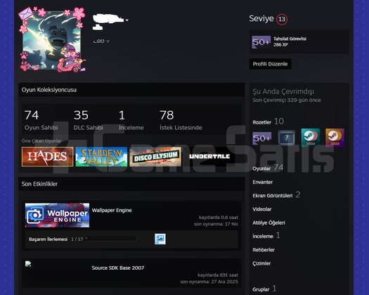 463 Dolar değerinde Steam Hesabı