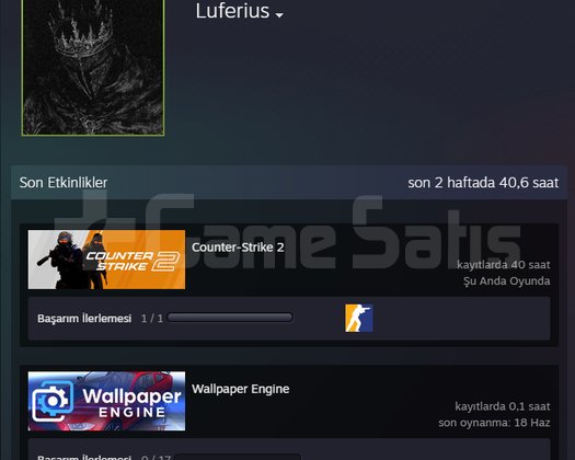 CS2 SEÇKİN 6 SEVİYE HESAP + WALLPAPER ENGİNE