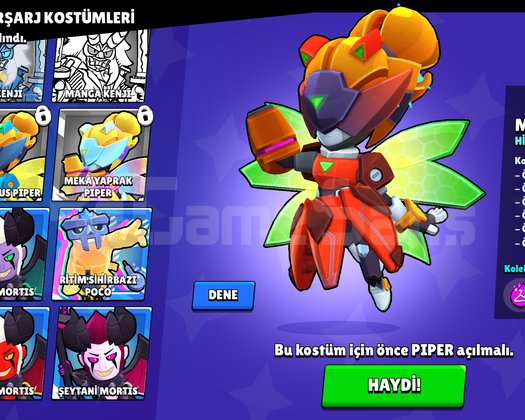 MECHA PİPERLI HESAP