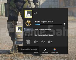 CS2 SEÇKİN HESAP