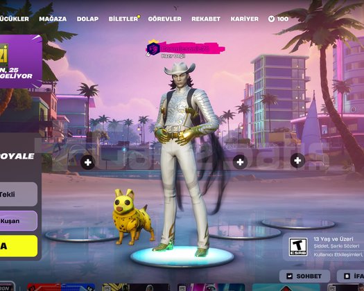 Maili değişen fortnite hesabı temiz