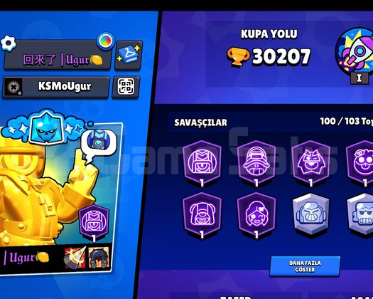 Uygun fiyat brawls stars