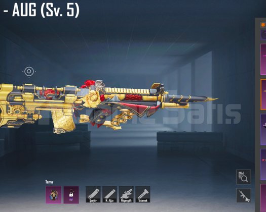 PARA AUG HASTALARINA