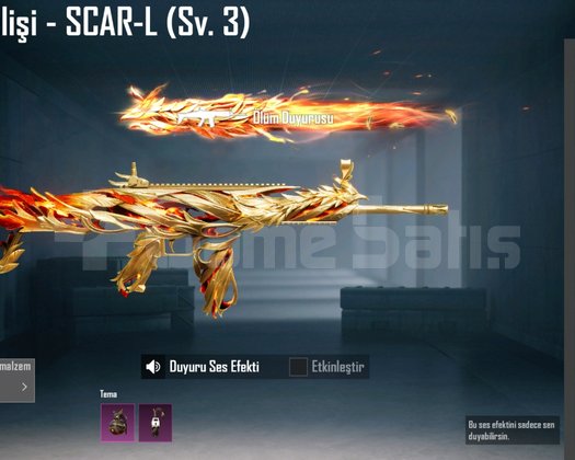 8 adet yükseltilebilir silah 42 level hesap