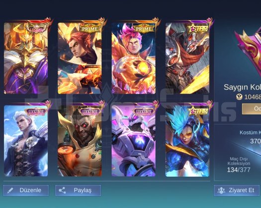 JOHNSON LEGEND 370 SKIN SAYGIN 4