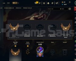gold 1 acc