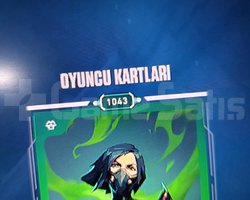 1000lvl viper main hesap