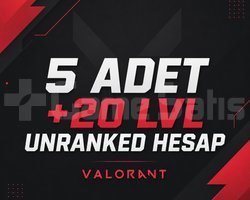 5 adet unranked valo hesap