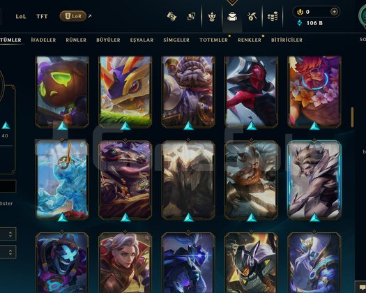 394 LVL + 123 KOSTÜM + 156 HERO + GOLD 1 + MAİL!