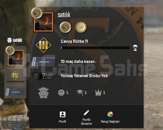 CS2 5 yıl rozetli seçkin hesap