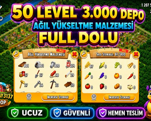 50 LEVEL 3000 DEPO FULL AĞIL DOLU GARANTİLİ