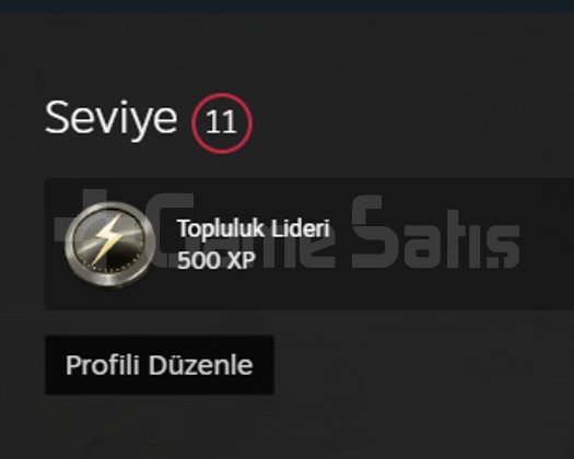 Strateji oyunu ağırlıklı 11 level sahibinden temiz
