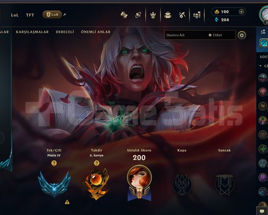 TR - LVL 55 - PLAT 4 - 2014 AÇILIM - 27 SKIN