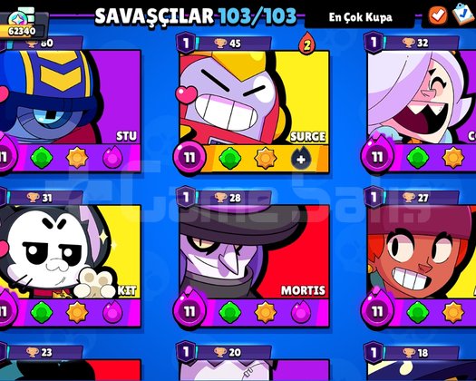 62 bin kupalı full+ful hesap