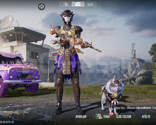 50 koleksiyonlu ideal pubg hesabı