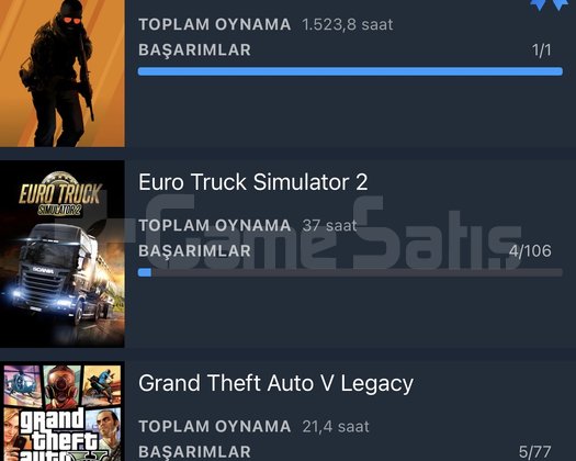 1500saat, 7 MADALYA, 2019, ETS2, GTA5 hesapta mvct