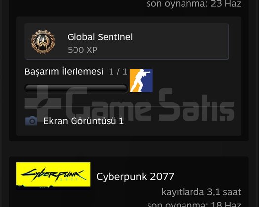 Satılık Steam Hesabını