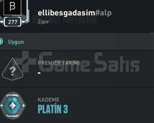 KAPALI BETA HESABI !! PLAT 3 MAİL DEĞİŞENLİ SKİNLİ