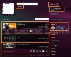2 AD ARCANA 372 TL STEAM BAKİYELİ 8.146 DOTA 2 SAA