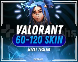 TR SUNUCU 60-120 SKIN VALORANT RANDOM HESAP