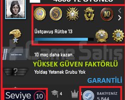 ANINDA TESLİM | 7 MADALYA | 988 SAAT | FACEIT