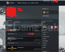 Şahsi Steam Hesabı /162 Oyun