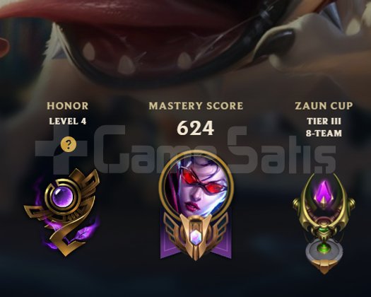 DIA 2 63WR +25LP ADC MAIN HESAP