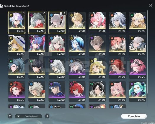 C3 jiyan + c1 Aemeath + c3 lucy